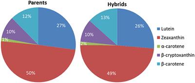 Combining Ability and Heterosis for Endosperm Carotenoids and Agronomic Traits in Tropical Maize Lines